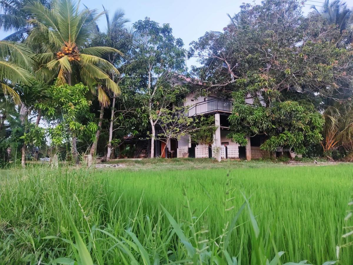 Village Mango Resort Yala Tissamaharama Exterior foto